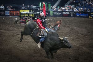 Zane Lambert
